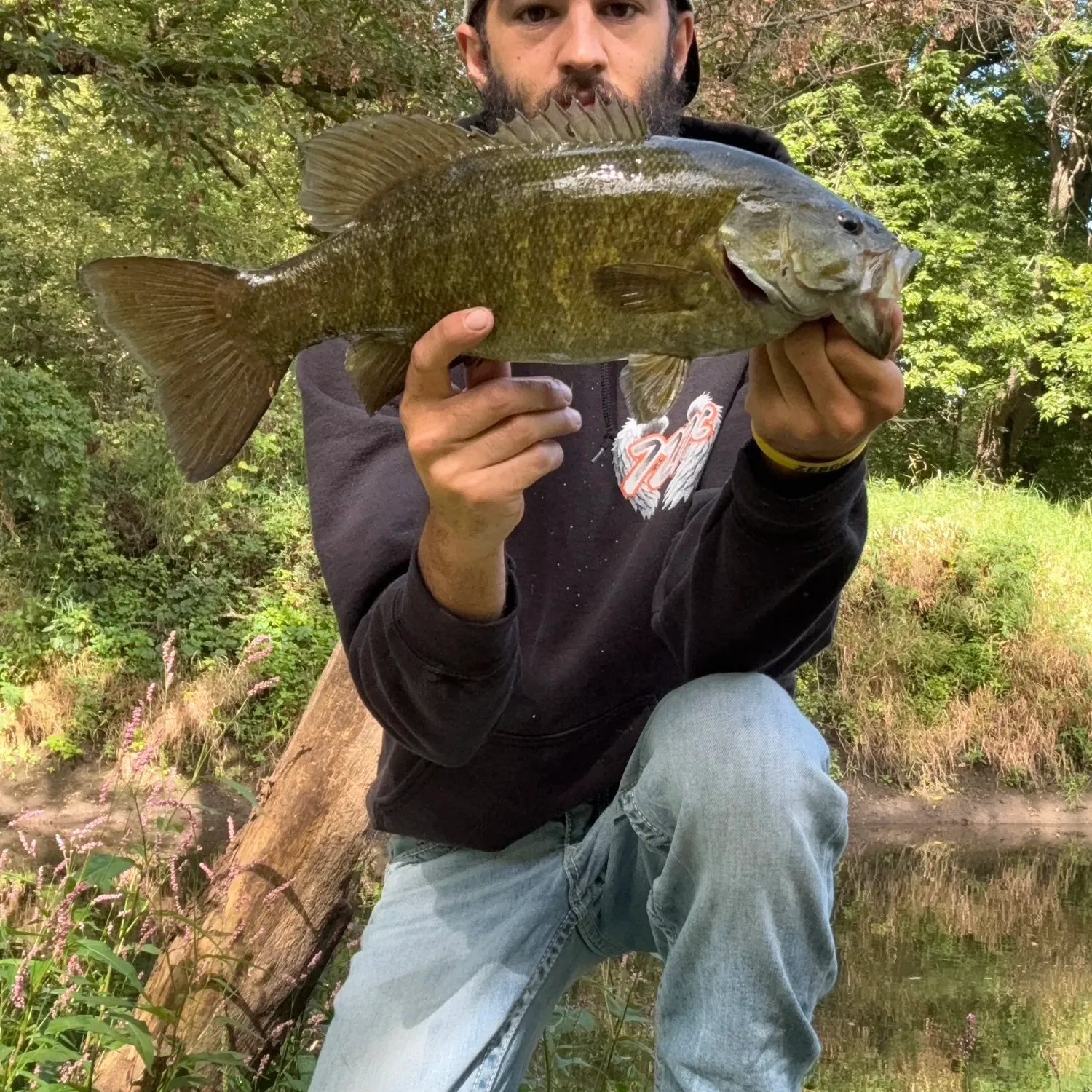 Smallmouth bass caught on Fishbrain