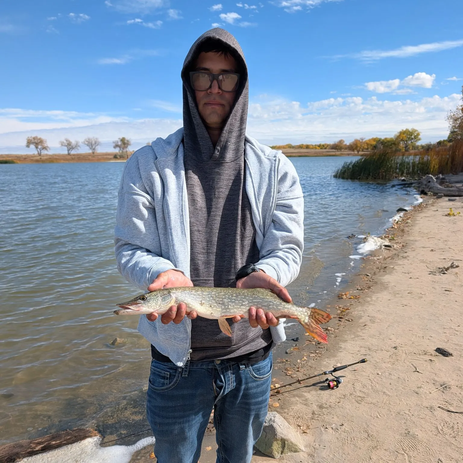 Northern pike caught on Fishbrain