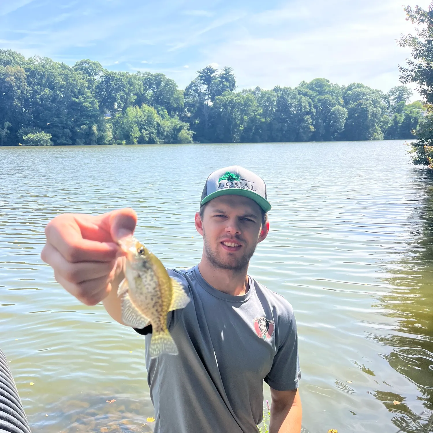 Black crappie caught on Fishbrain