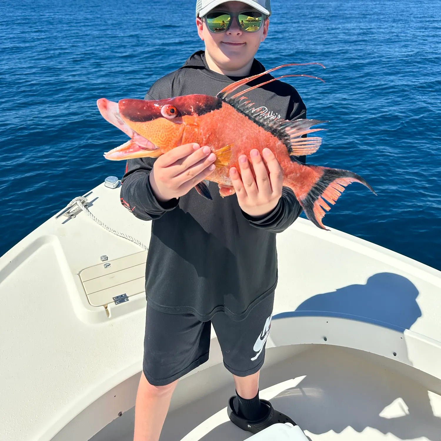 The most recent Hogfish catches on Fishbrain