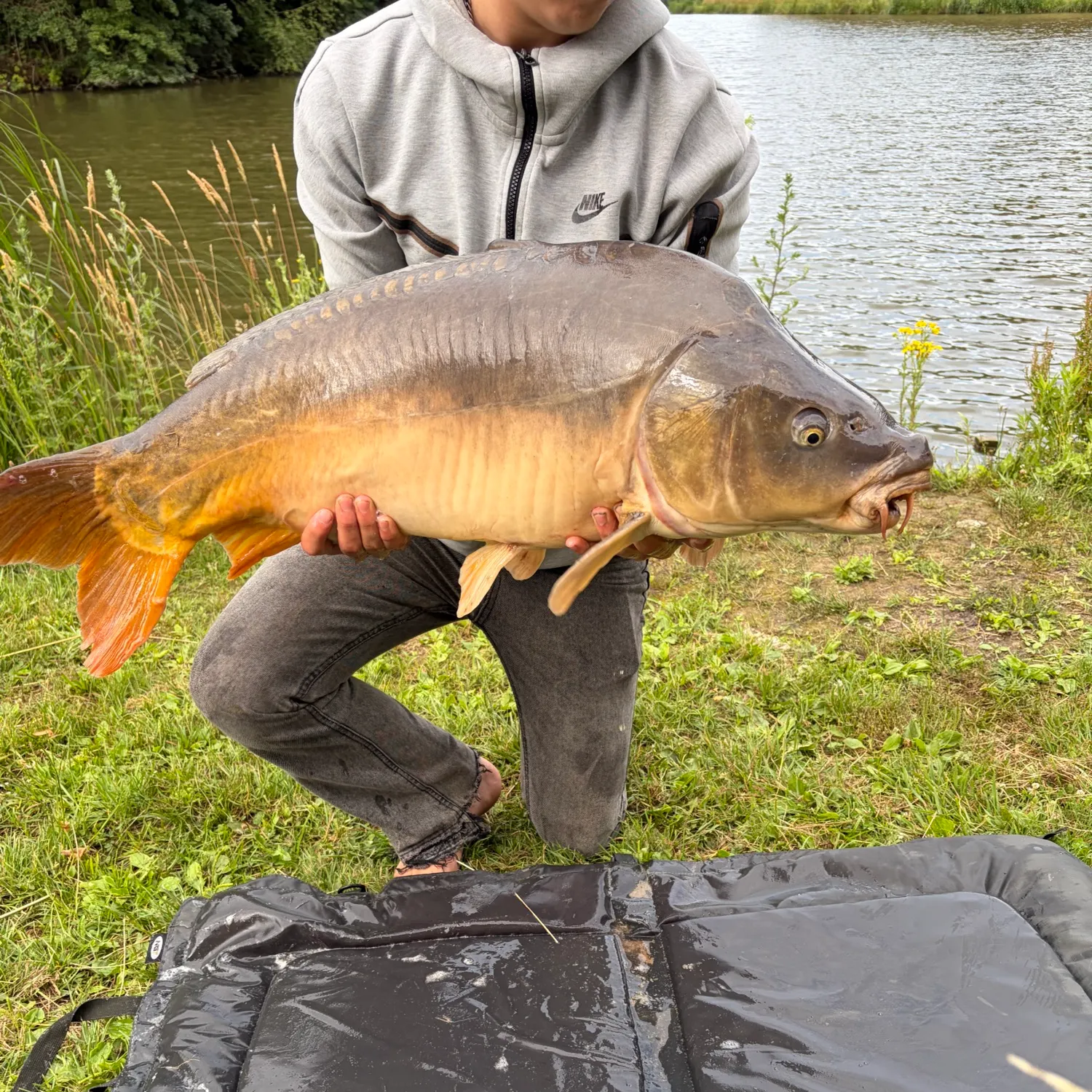 The most recent Leather carp catches on Fishbrain