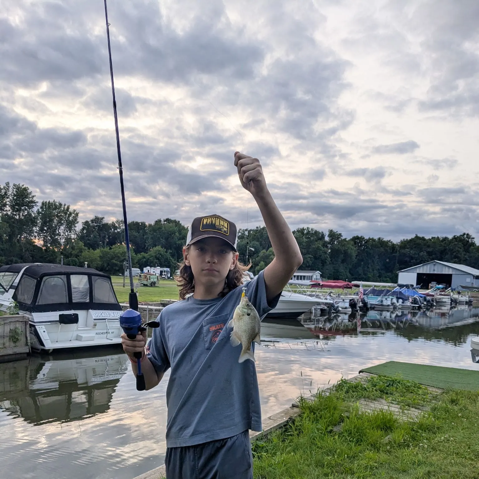 Pumpkinseed x green sunfish caught on Fishbrain