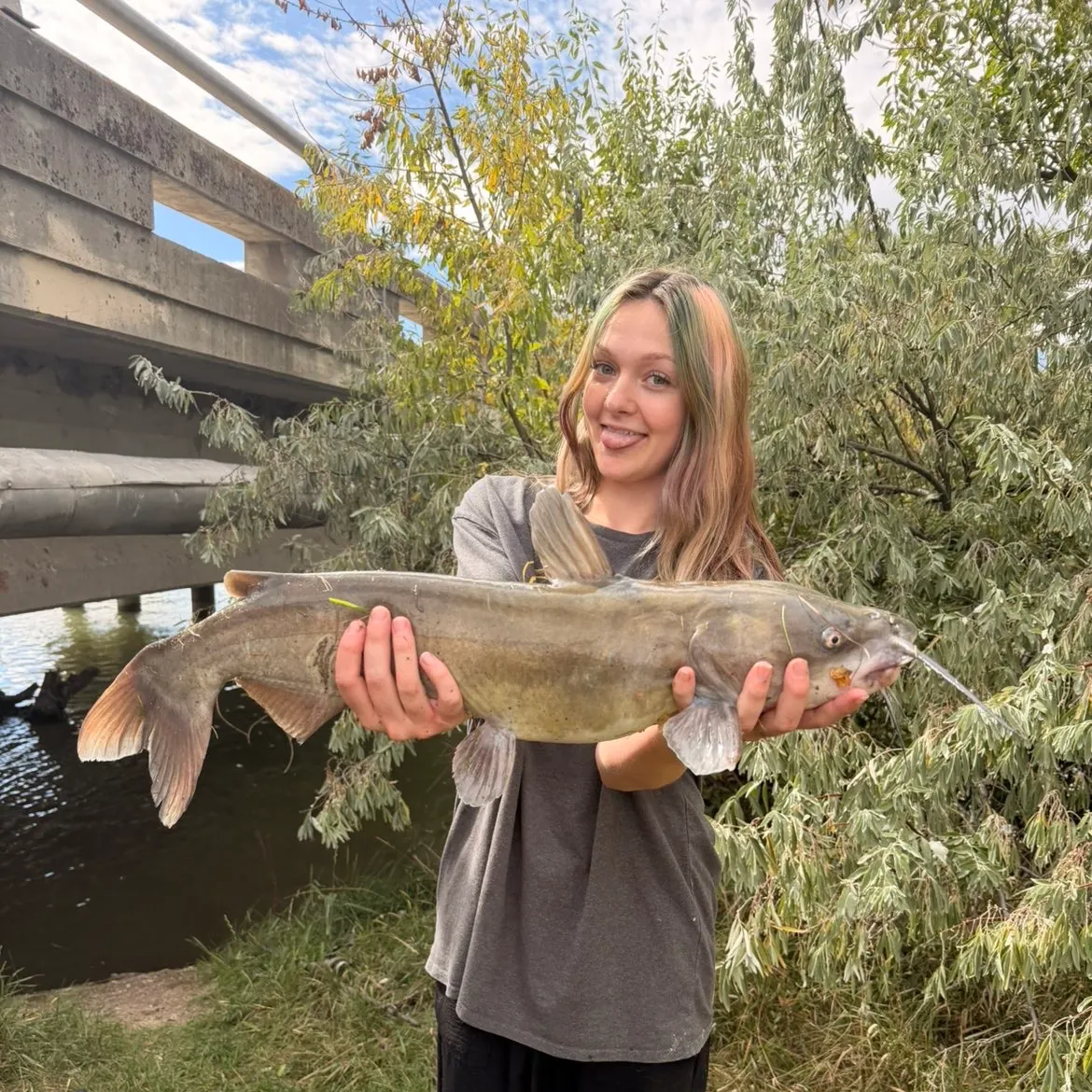 Channel catfish caught on Fishbrain