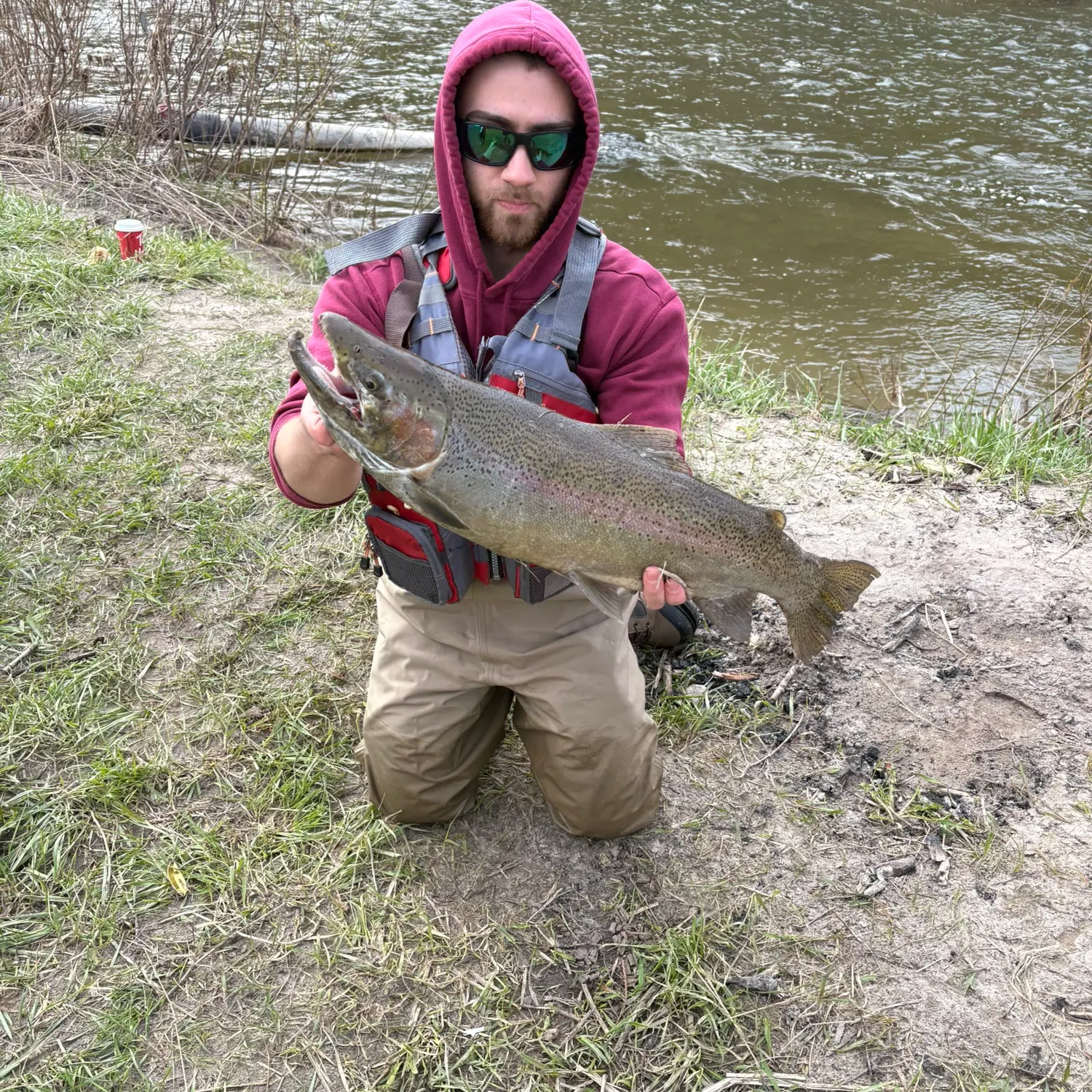 The most recent Steelhead catches on Fishbrain