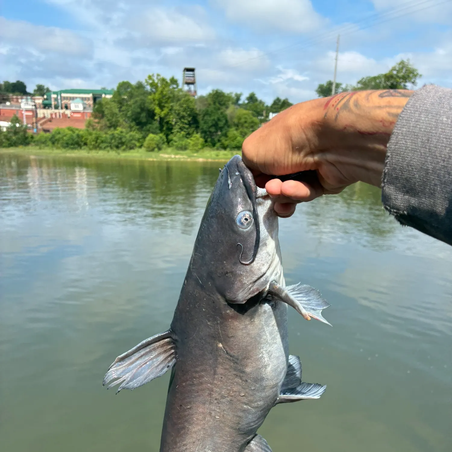 catch