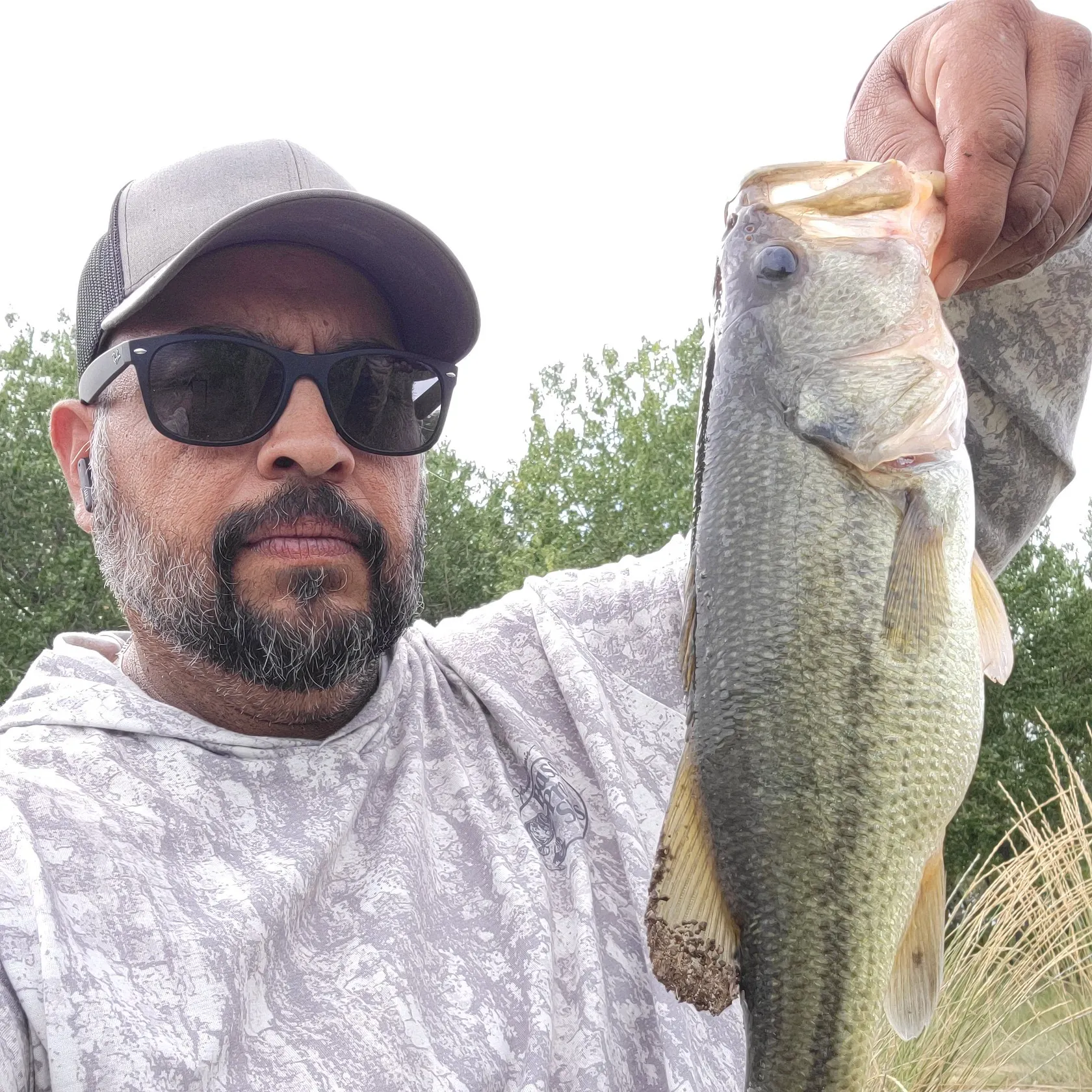 Largemouth bass caught on Fishbrain