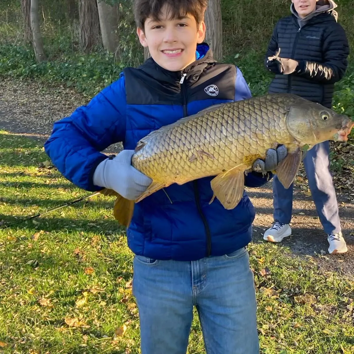 Common carp caught on Fishbrain
