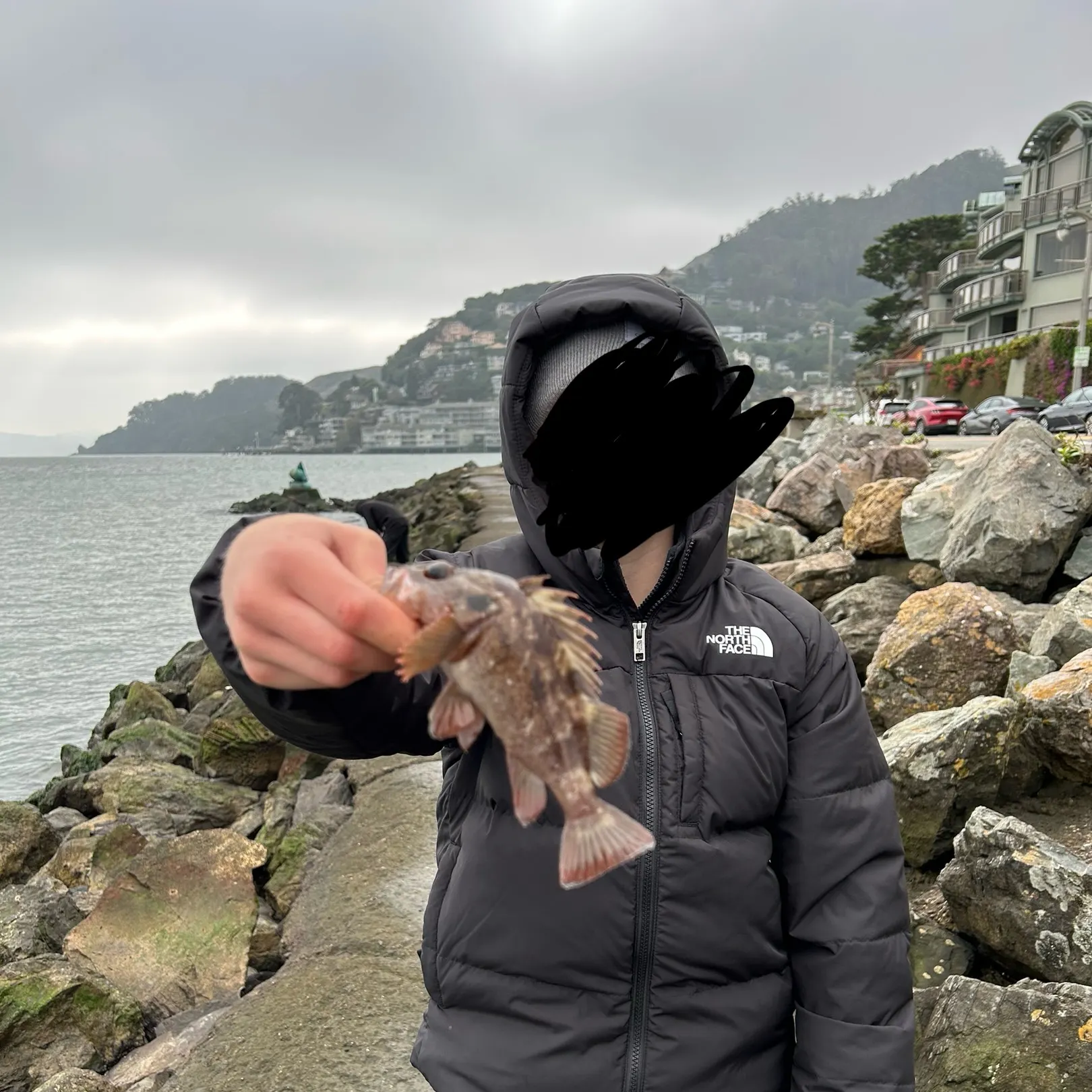 The most recent Copper rockfish catches on Fishbrain