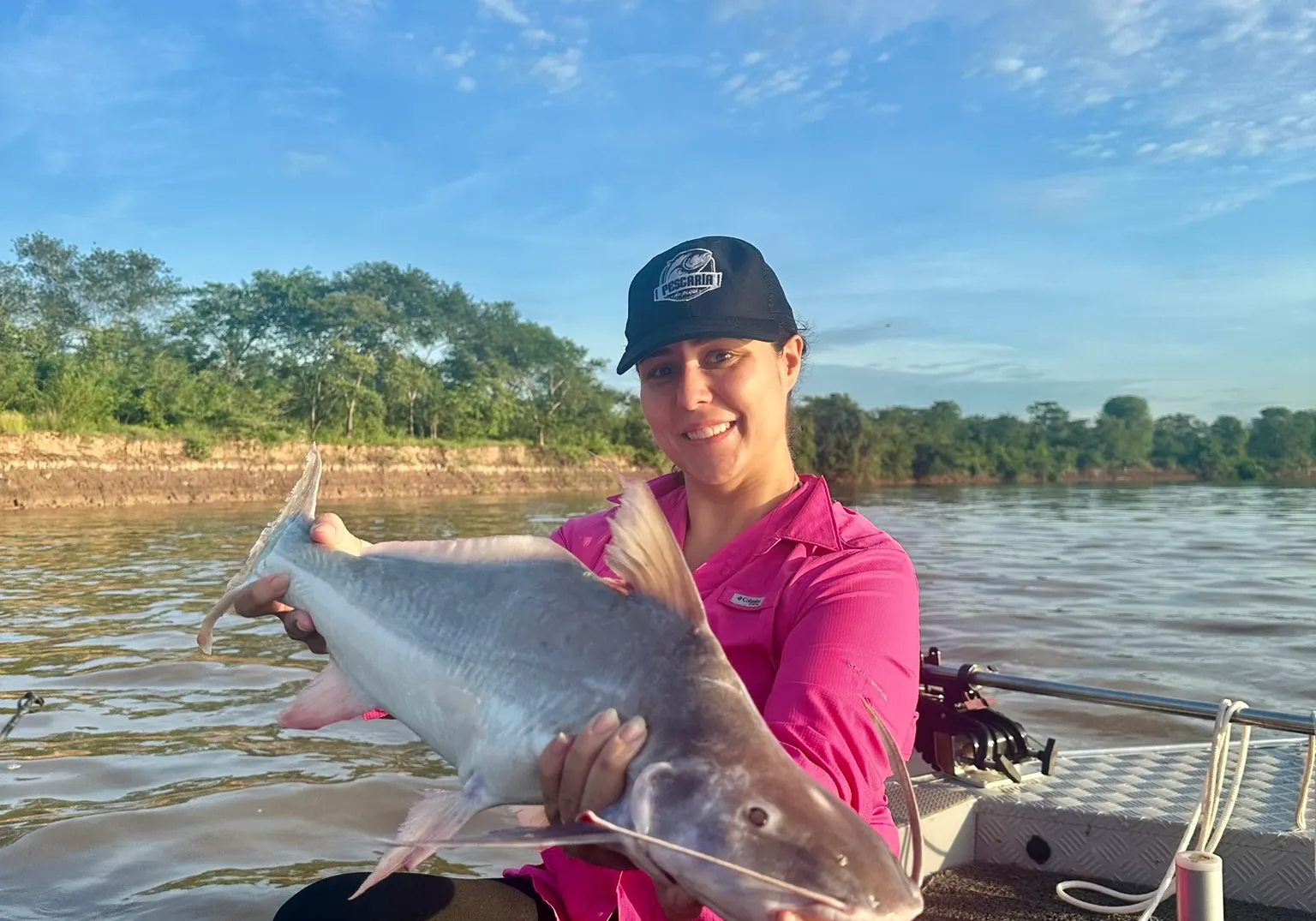 Flatwhiskered catfish