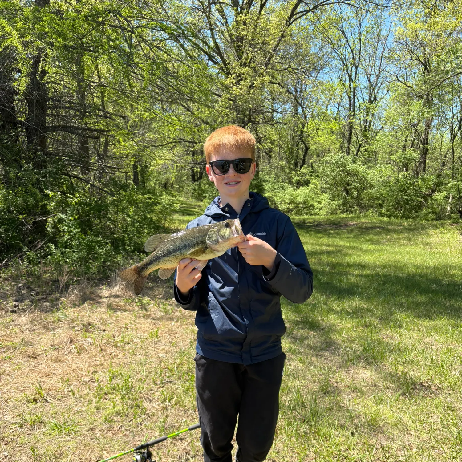 The most recent Largemouth bass catches on Fishbrain