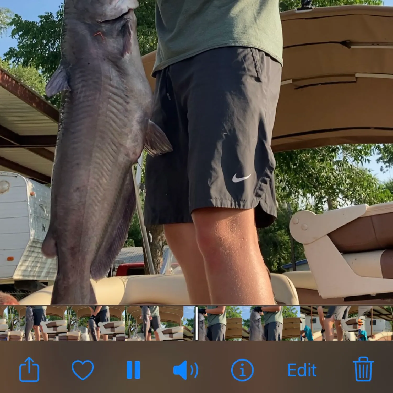 recently logged catches