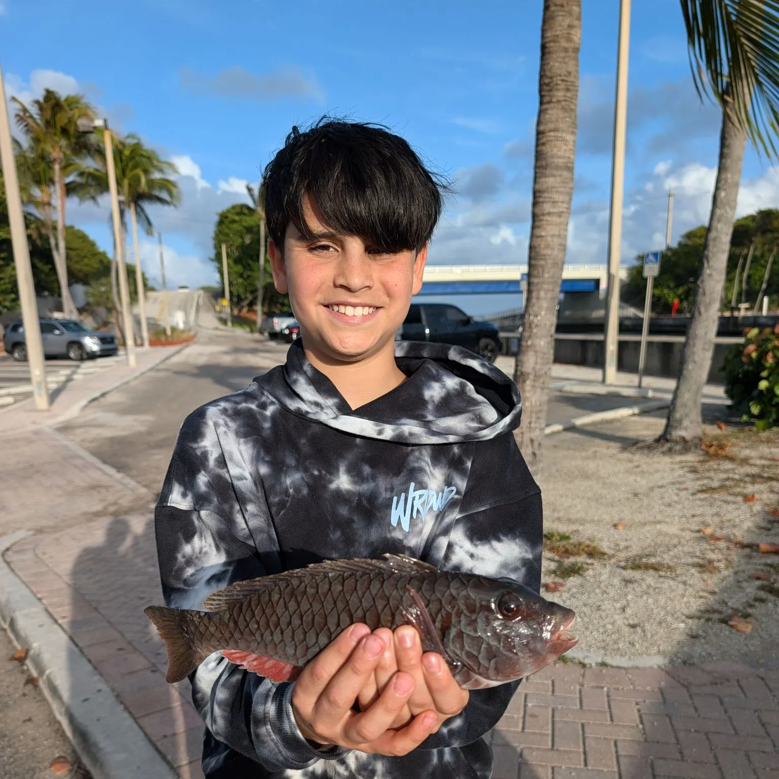 The most recent Common parrotfish catches on Fishbrain