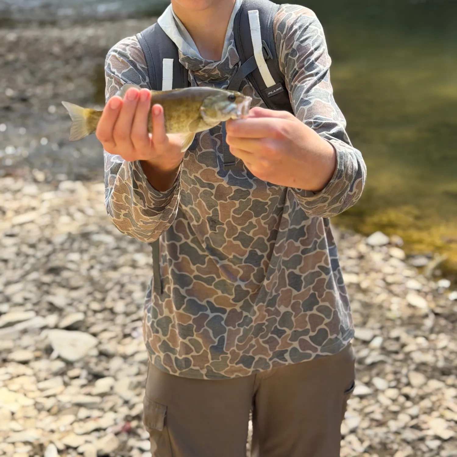 Smallmouth bass caught on Fishbrain