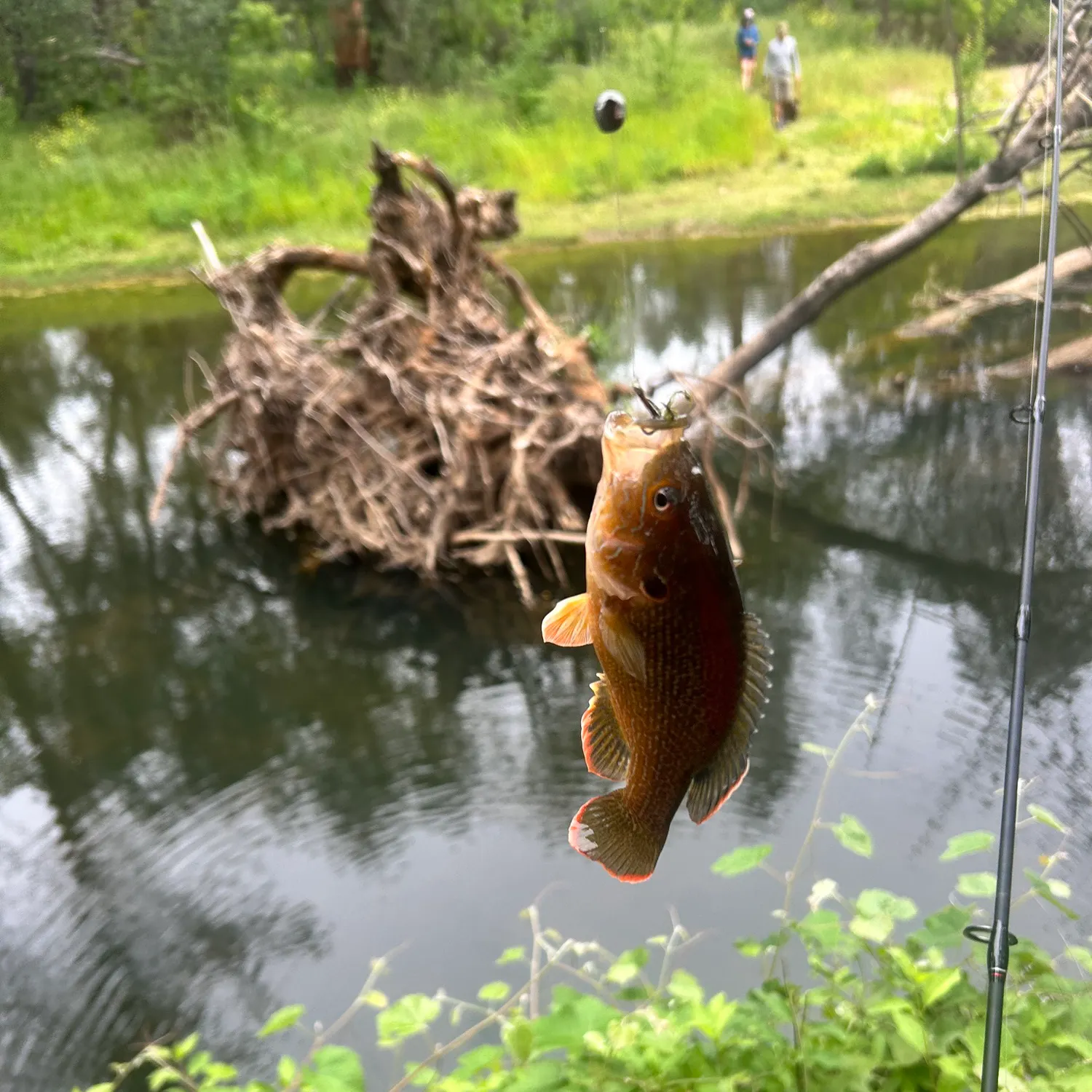 catch