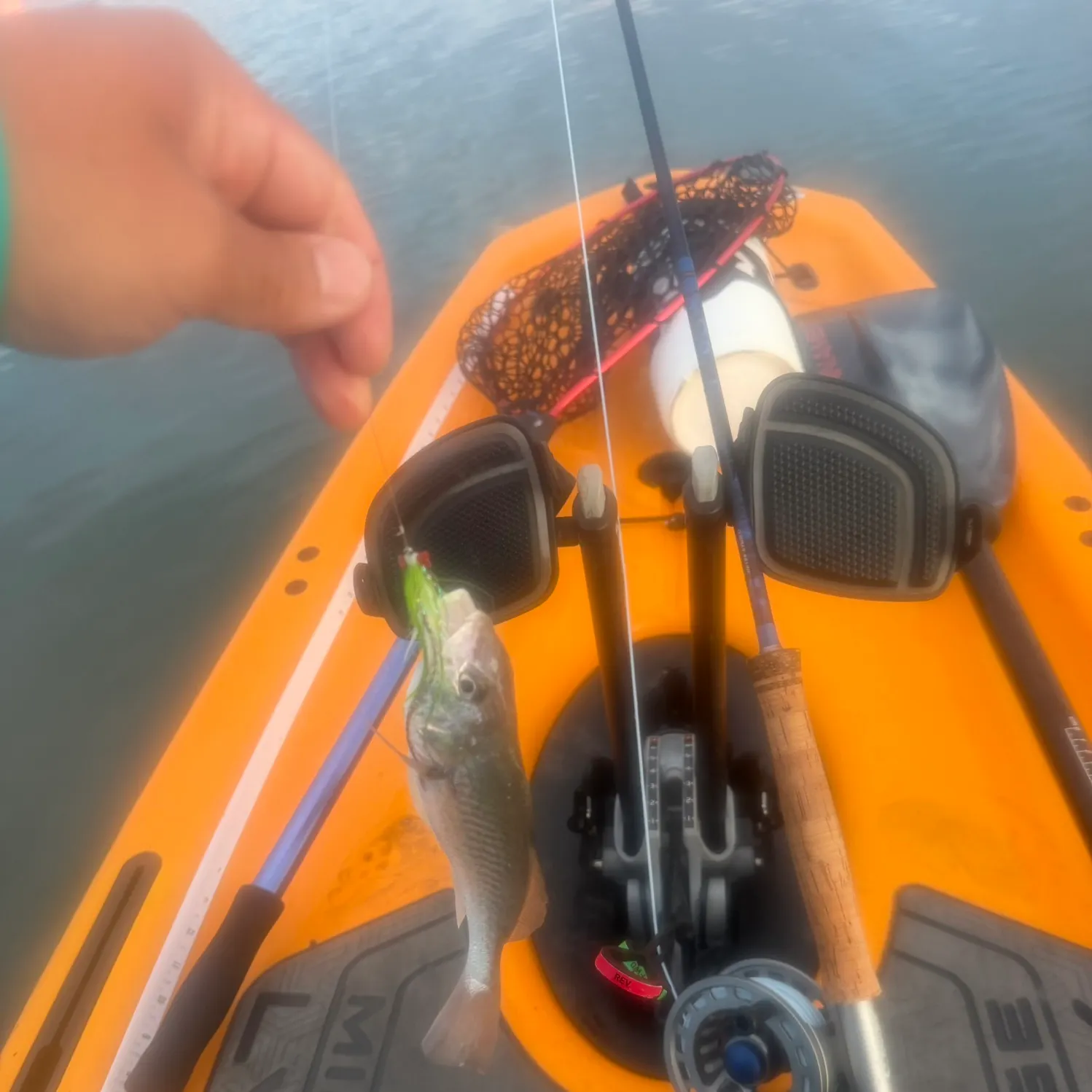 The most recent Atlantic croaker catches on Fishbrain