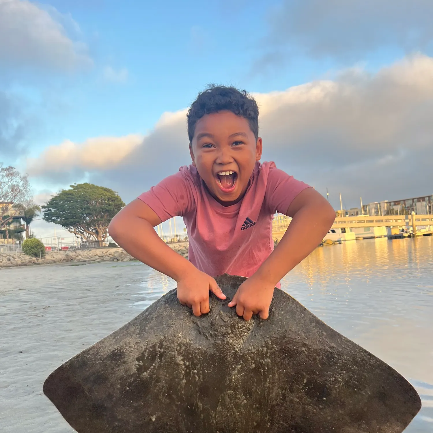 The most recent California butterfly ray catches on Fishbrain
