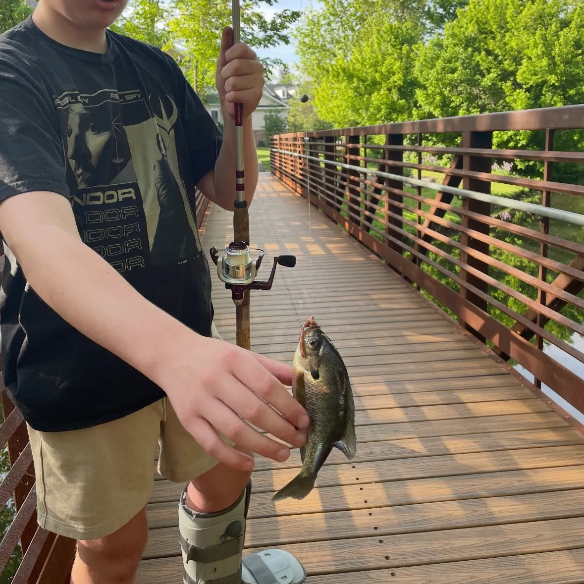 recently logged catches