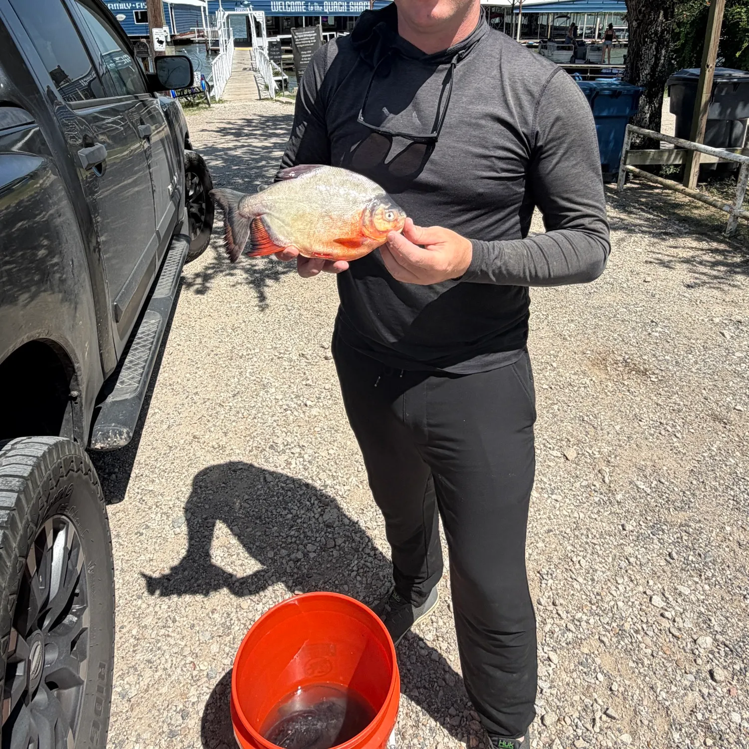 The most recent Small-scaled pacu catches on Fishbrain