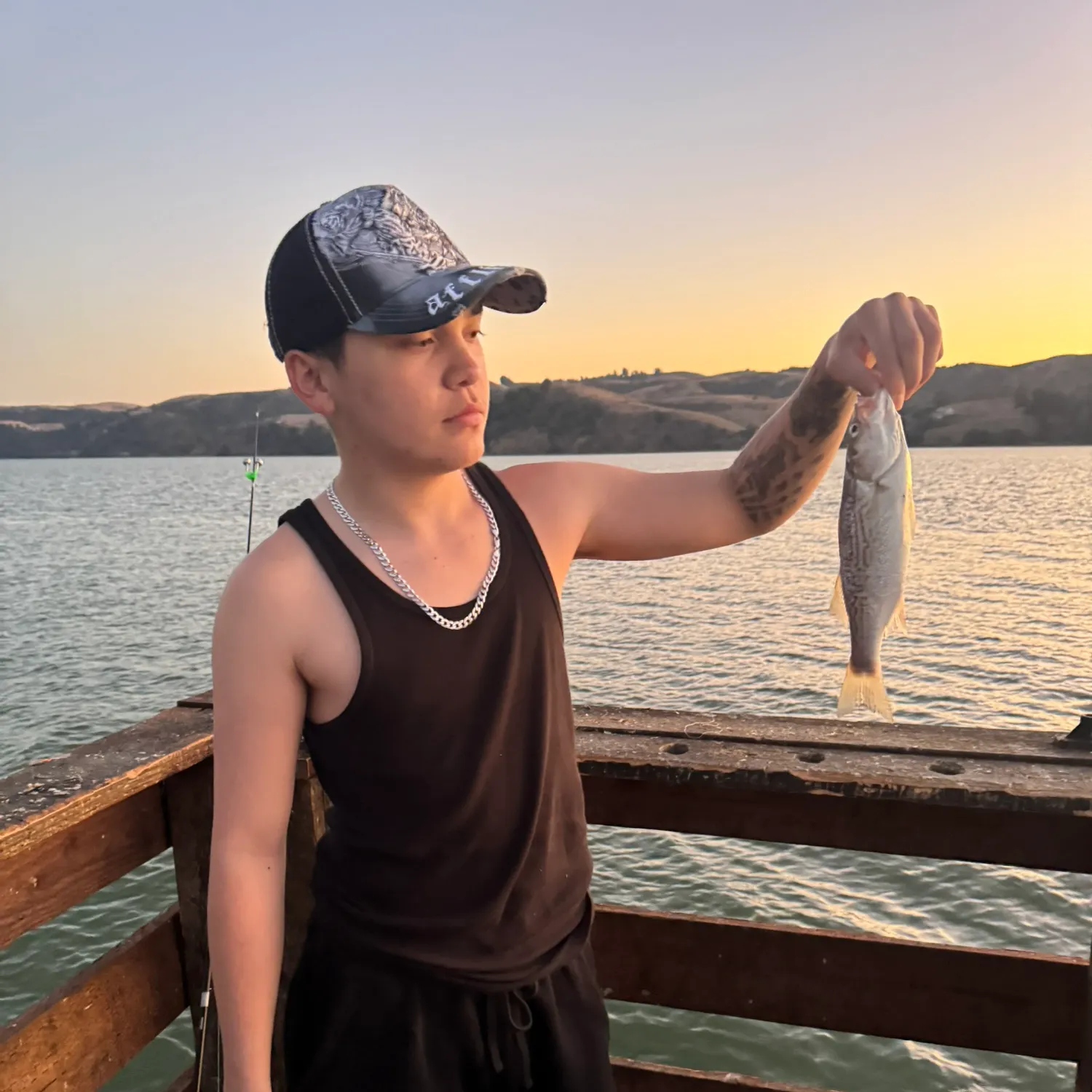 Striped bass caught on Fishbrain