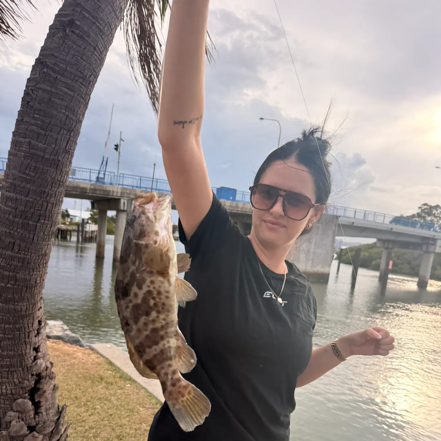 The most recent Orange-spotted grouper catches on Fishbrain