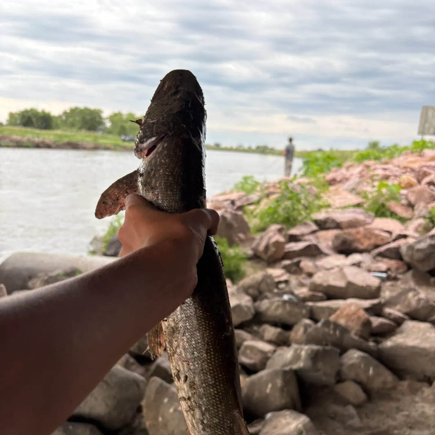 catch