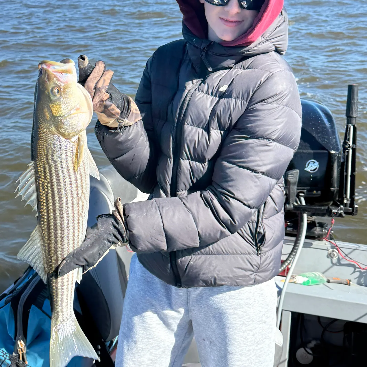 Striped bass caught on Fishbrain