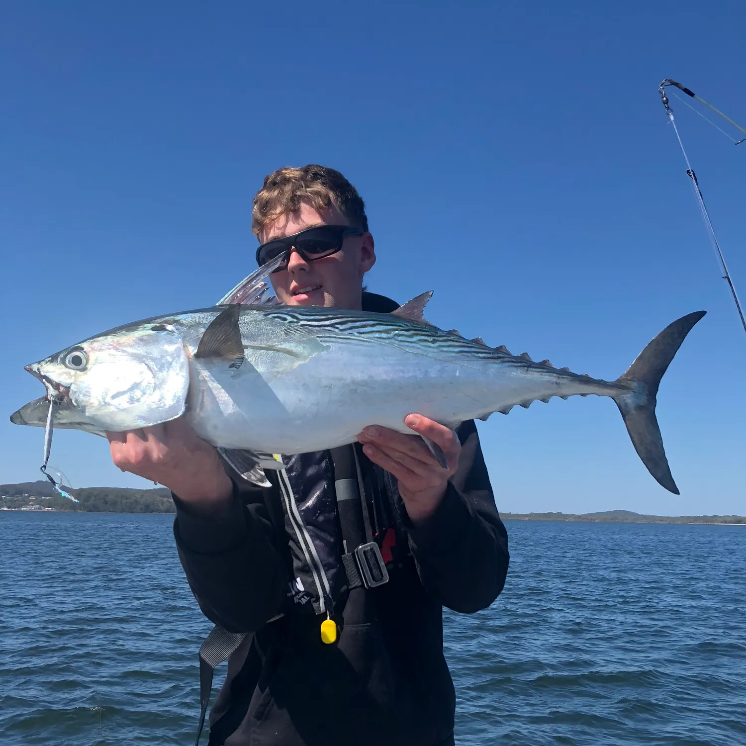 The most recent Kawakawa catches on Fishbrain