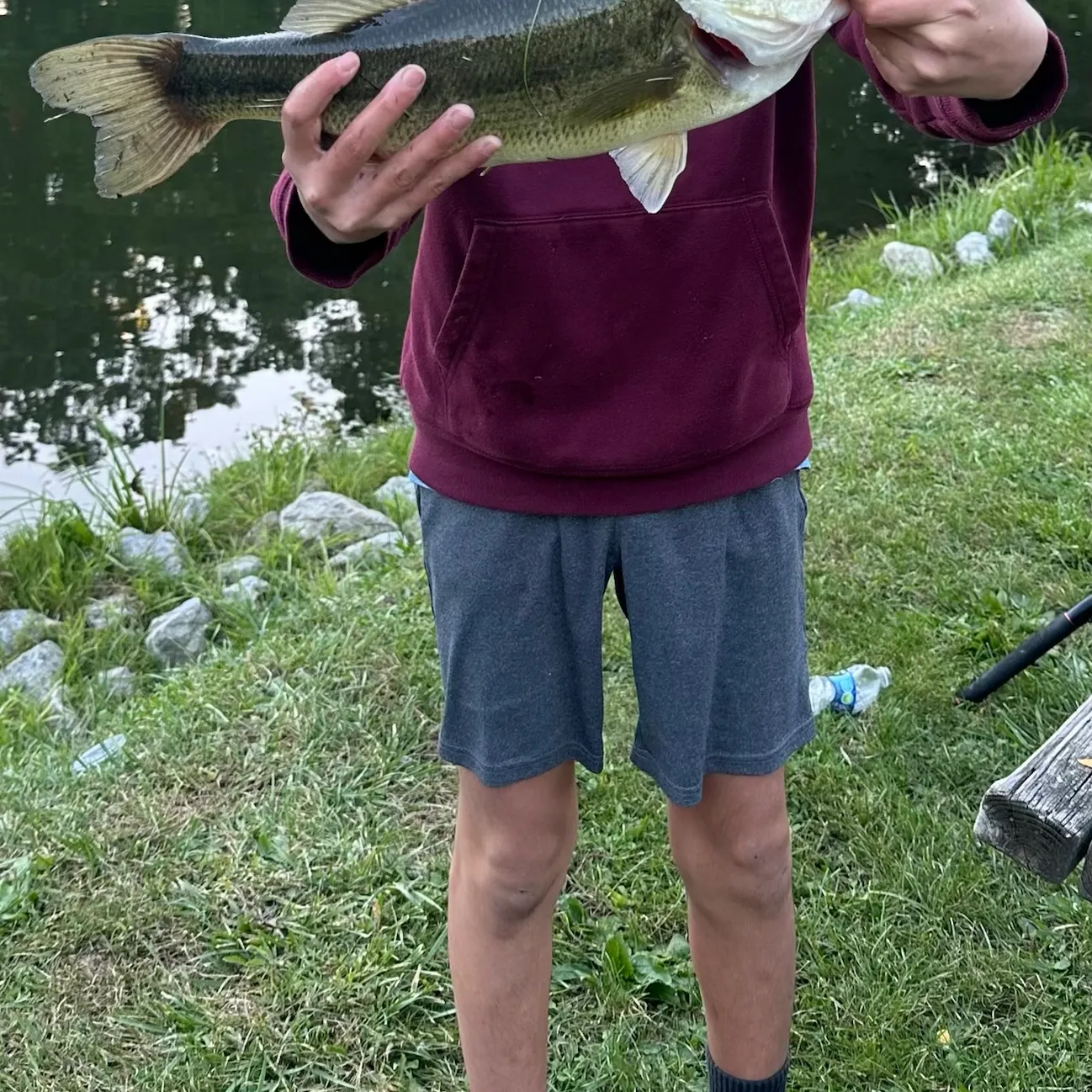 Largemouth bass caught on Fishbrain