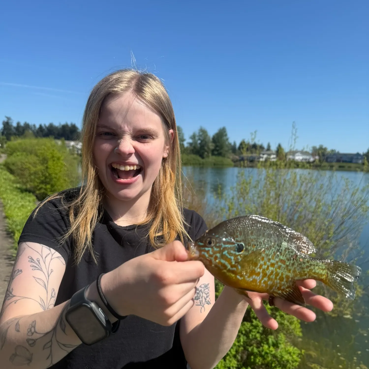 recently logged catches