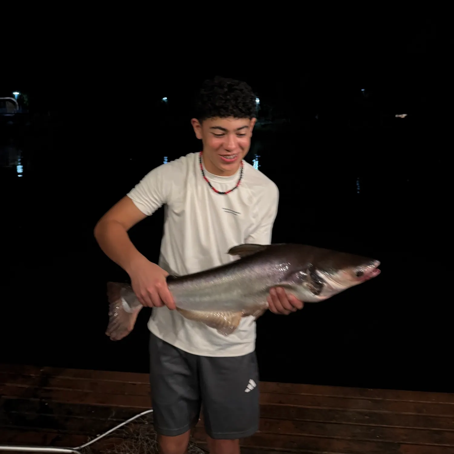 The most recent Mekong giant catfish catches on Fishbrain