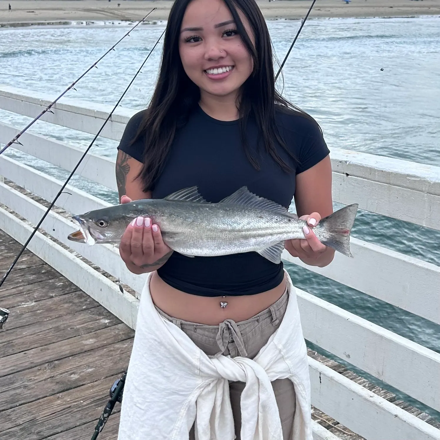 The most recent Shortfin corvina catches on Fishbrain