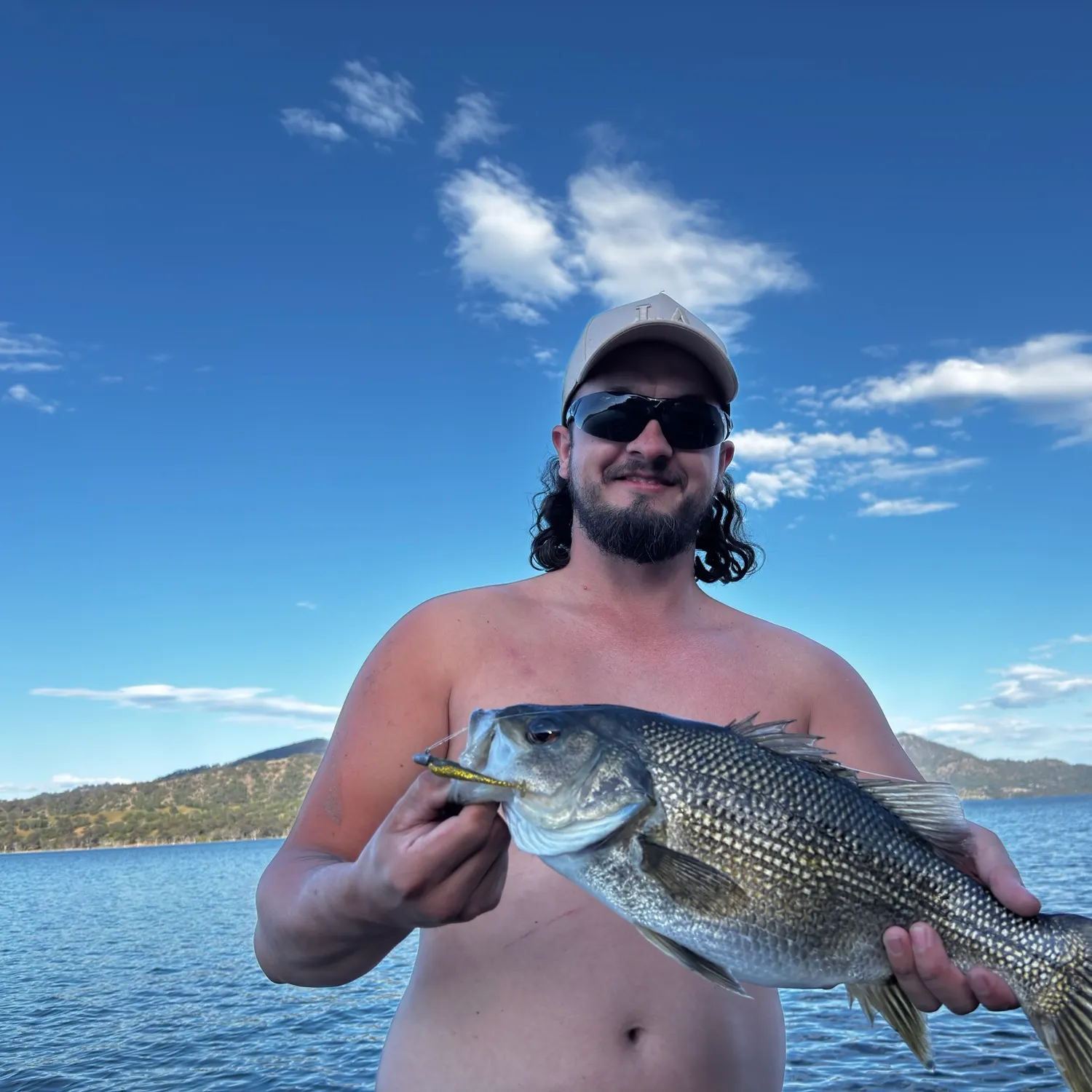 Australian bass caught on Fishbrain