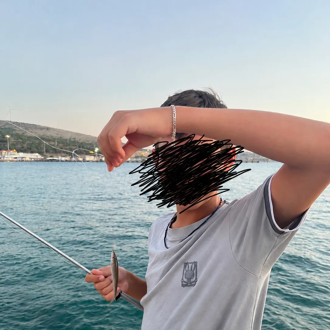 The most recent Big-scale sand smelt catches on Fishbrain