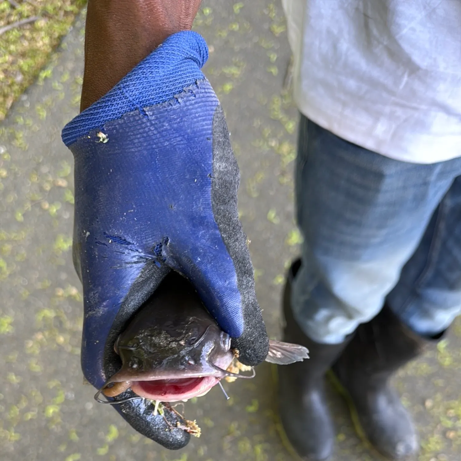 catch