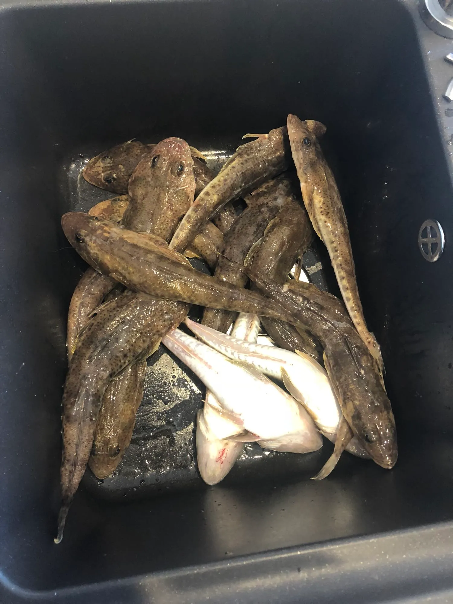 Post image from Saucey_Clun24