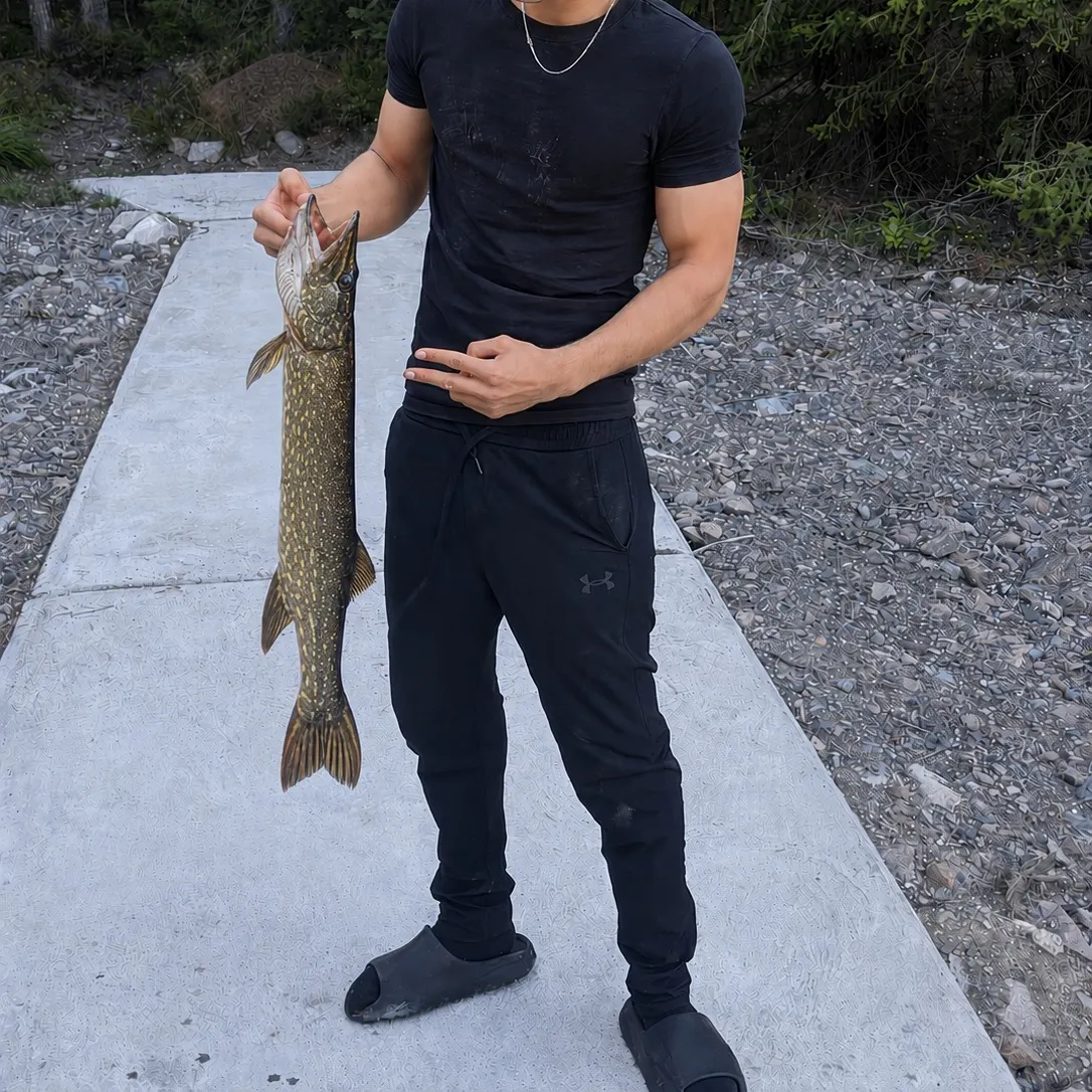 Northern pike caught on Fishbrain