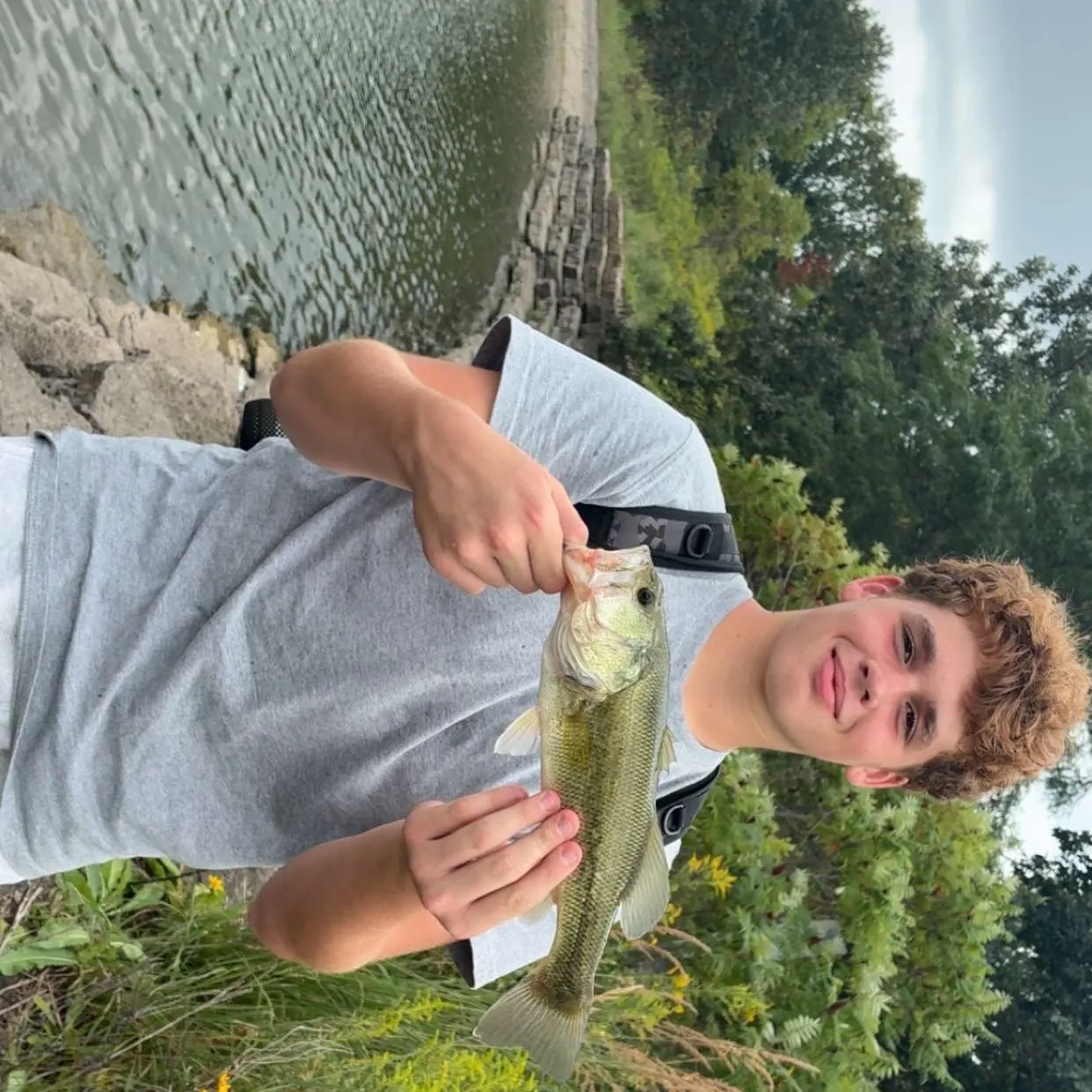 Largemouth bass caught on Fishbrain