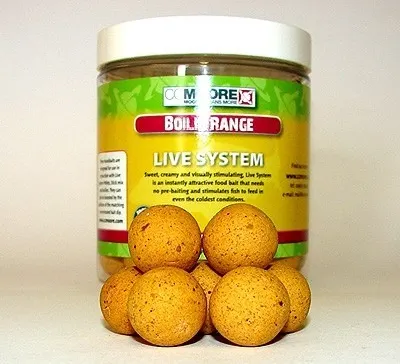 Live System