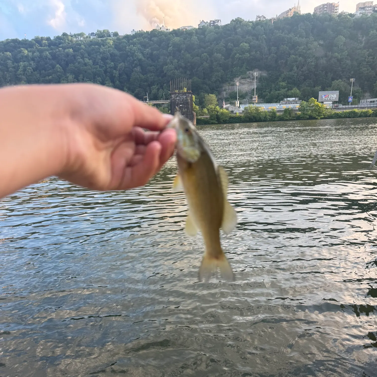 catch