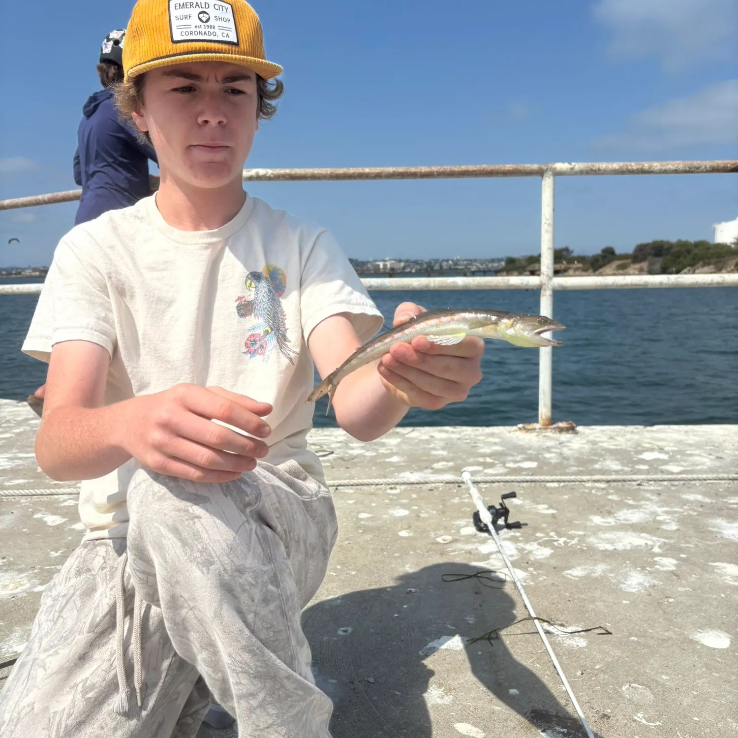 The most recent Inshore lizardfish catches on Fishbrain