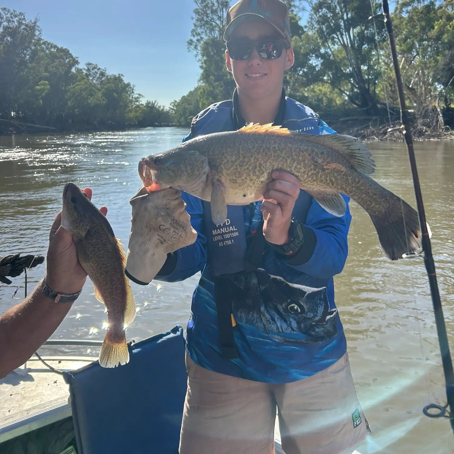 The most recent Murray cod catches on Fishbrain