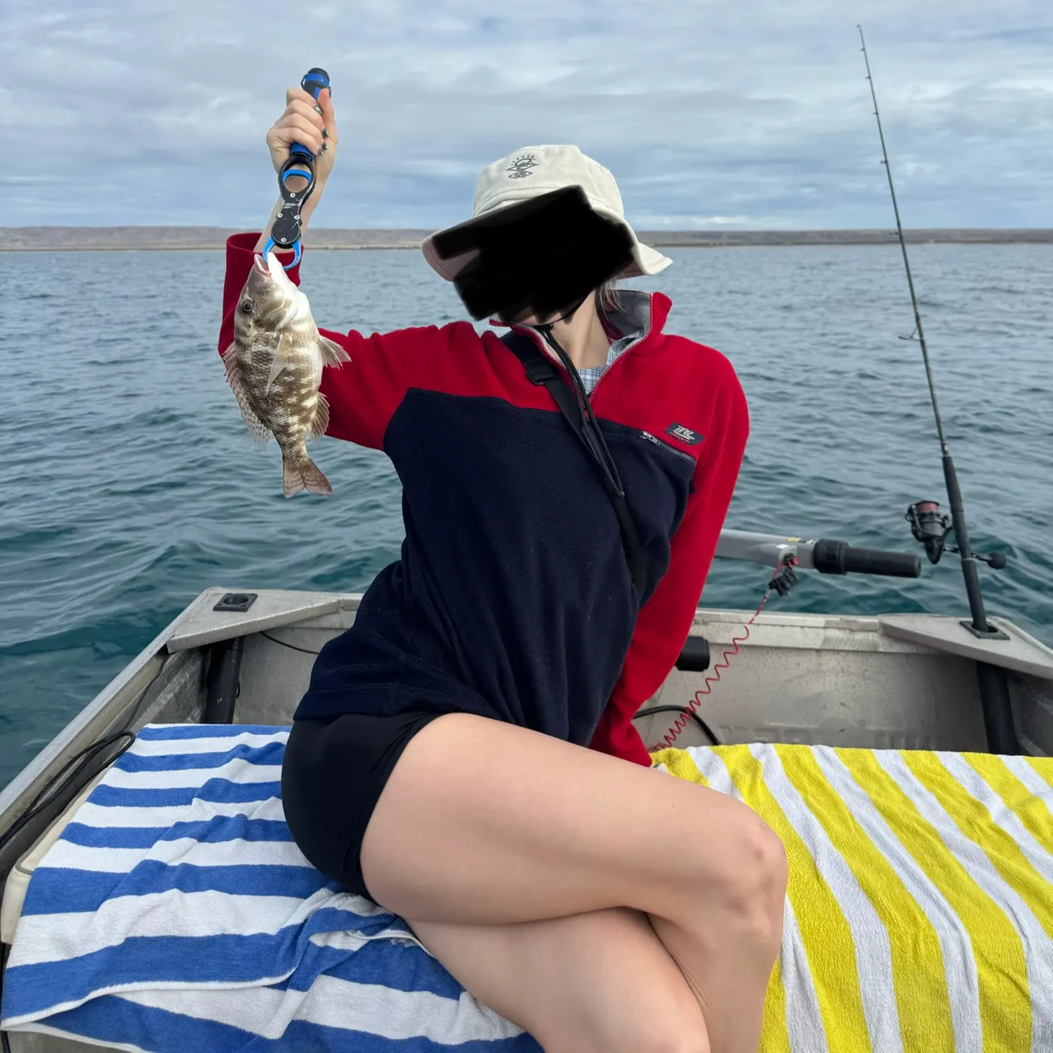 The most recent Zebra fish catches on Fishbrain