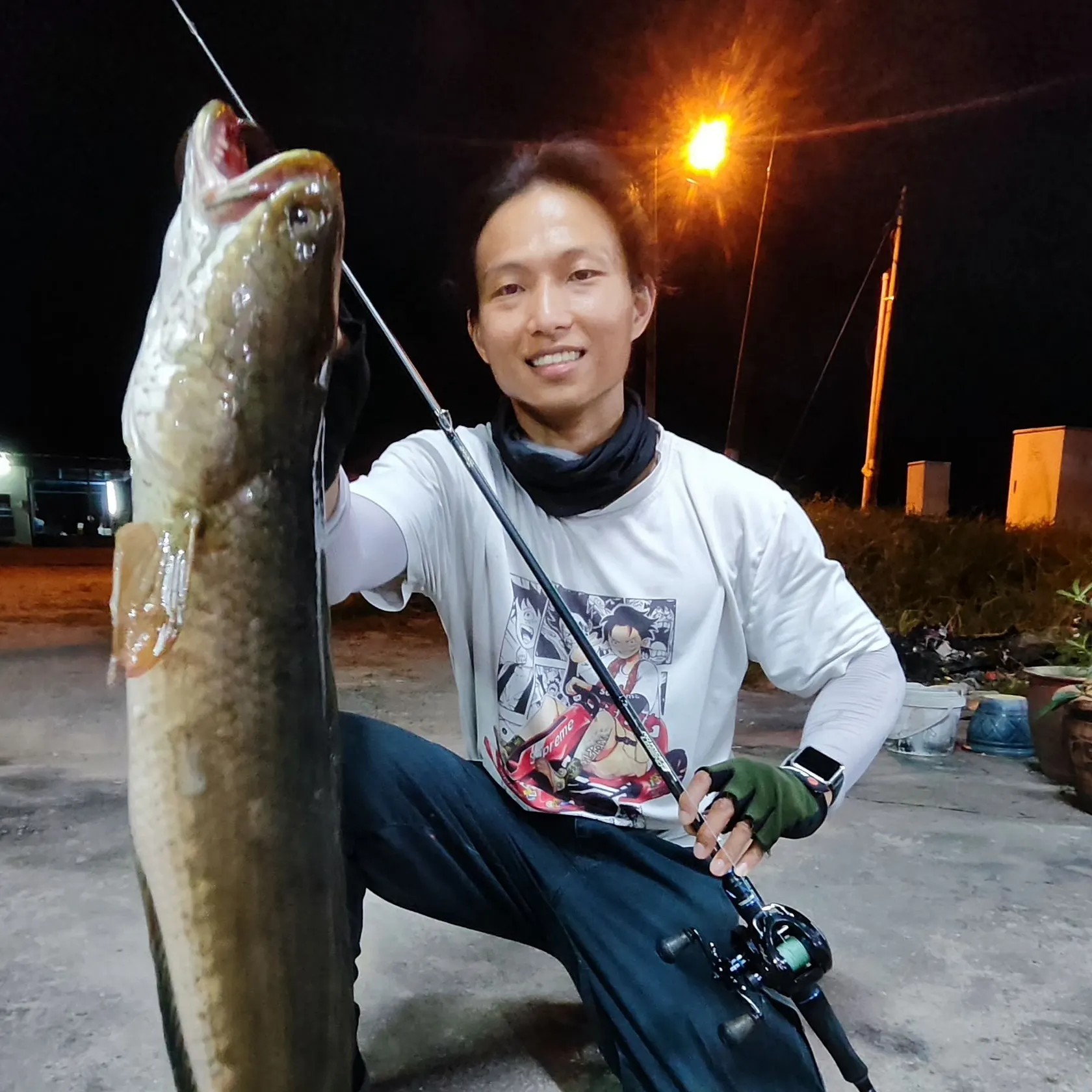 The most recent Striped snakehead catches on Fishbrain