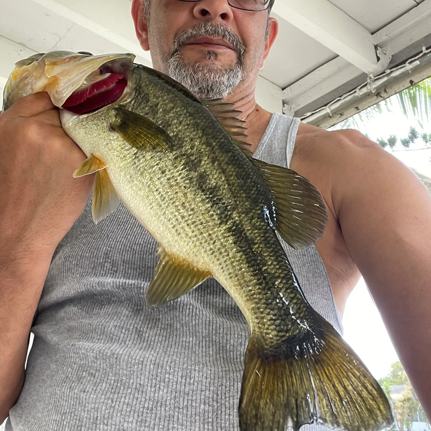 The most recent Largemouth bass catches on Fishbrain