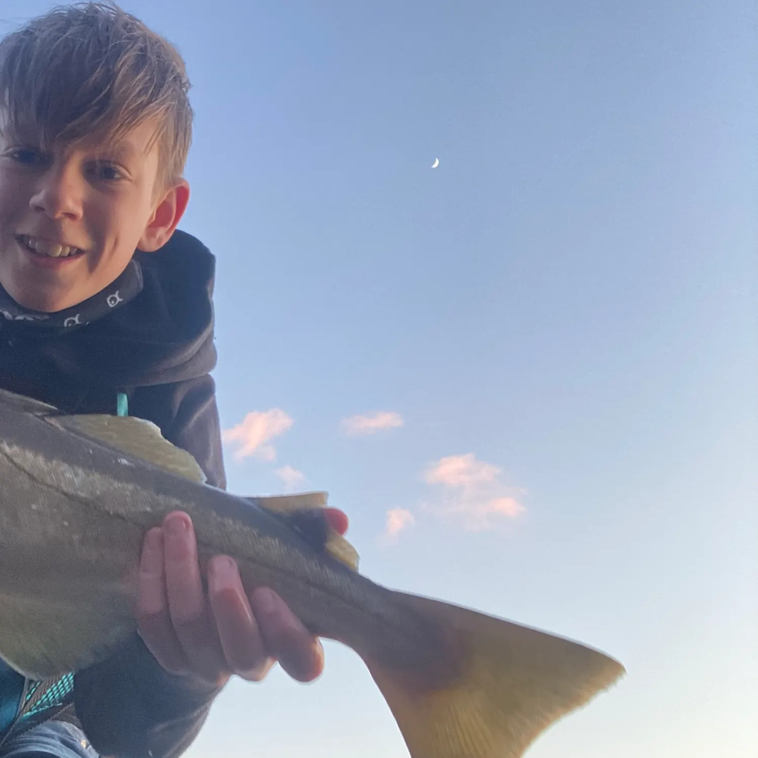 The most recent Pollack catches on Fishbrain