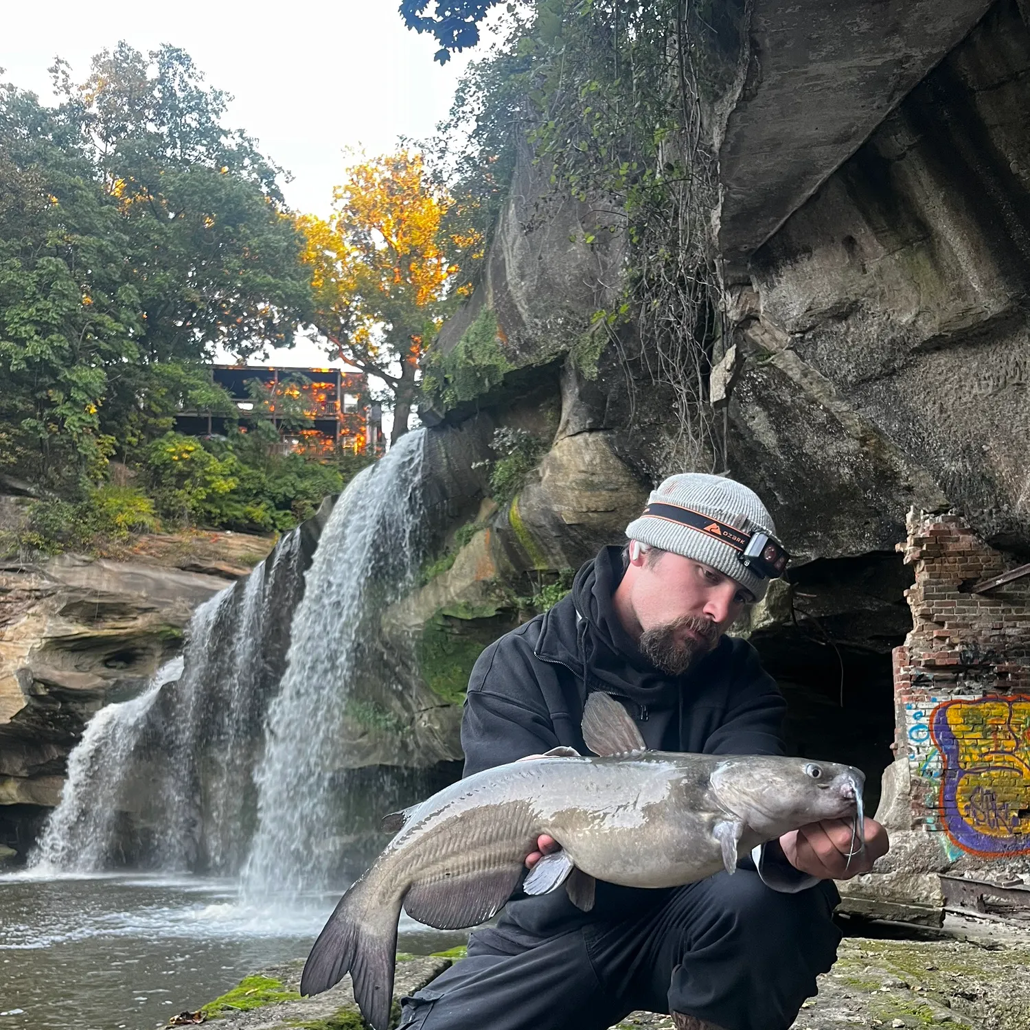 Channel catfish caught on Fishbrain