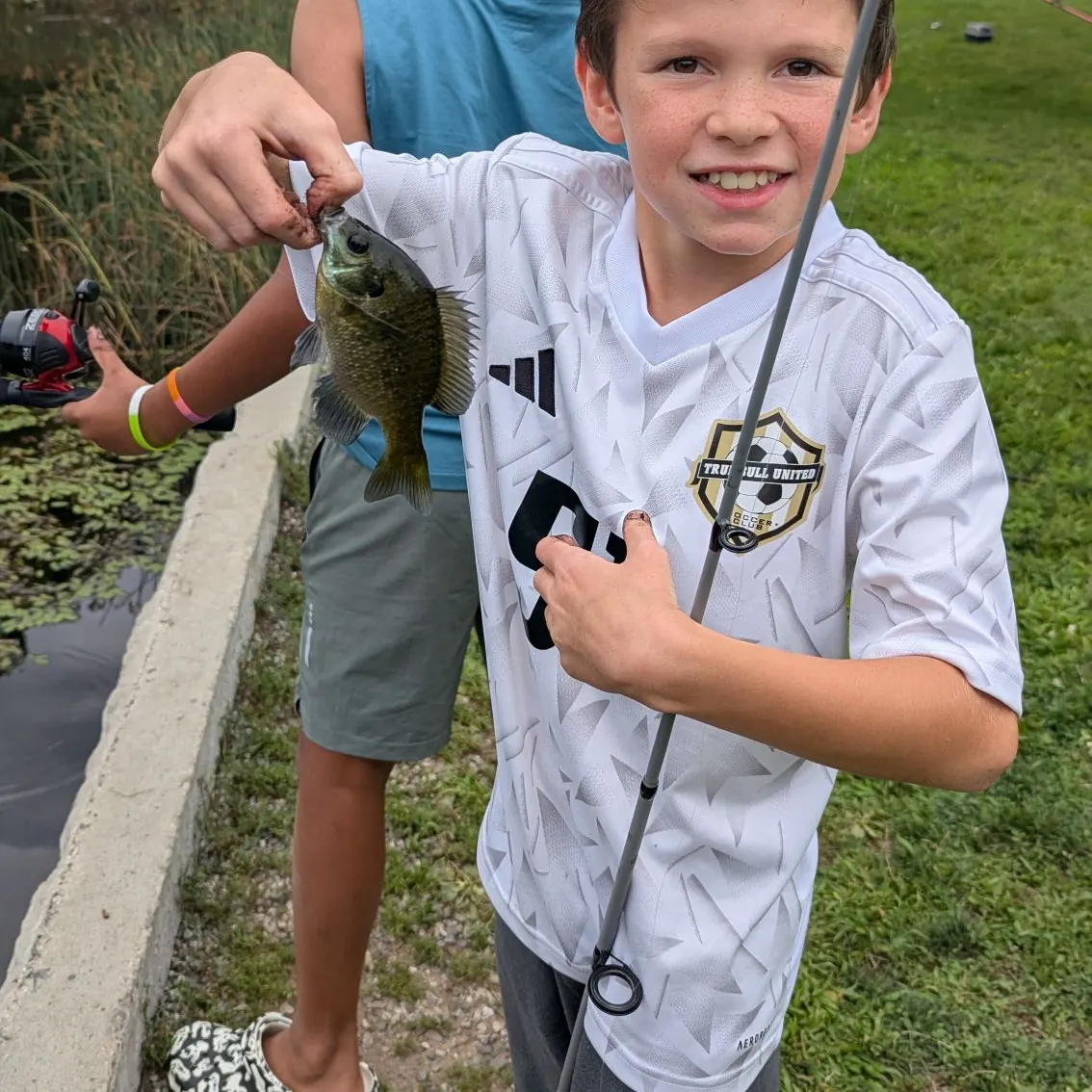 Bluegill caught on Fishbrain