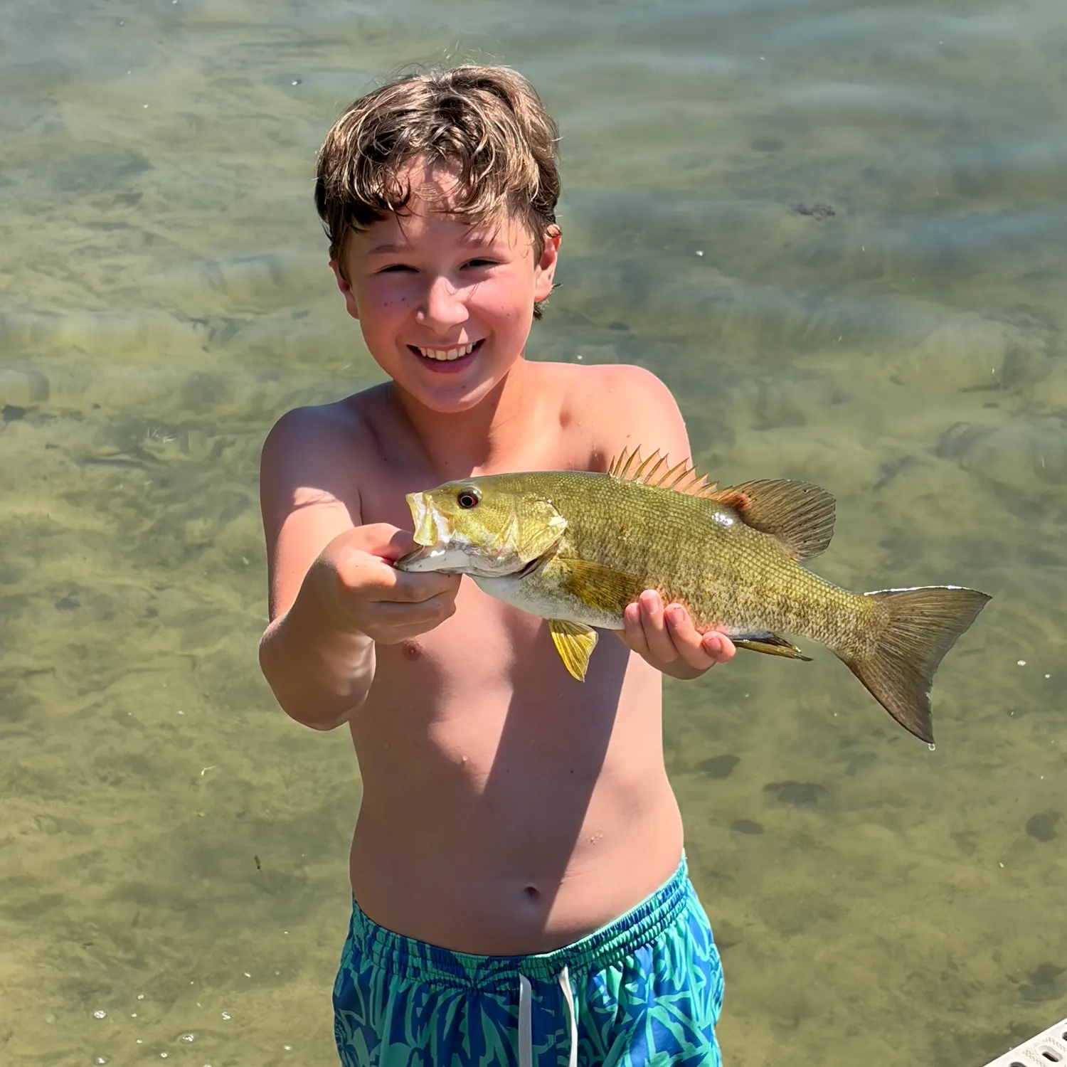 Smallmouth bass caught on Fishbrain