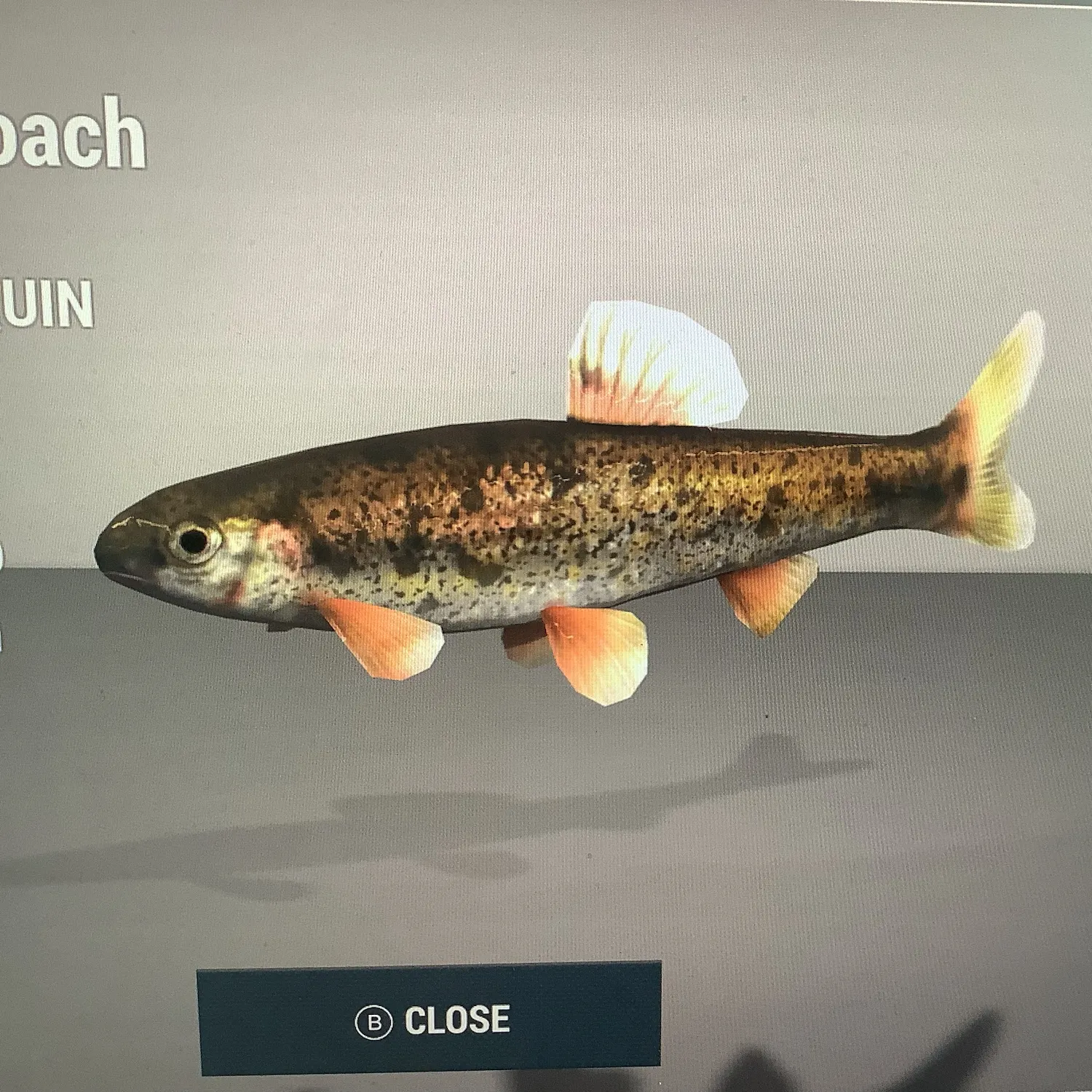 The most recent California roach catches on Fishbrain