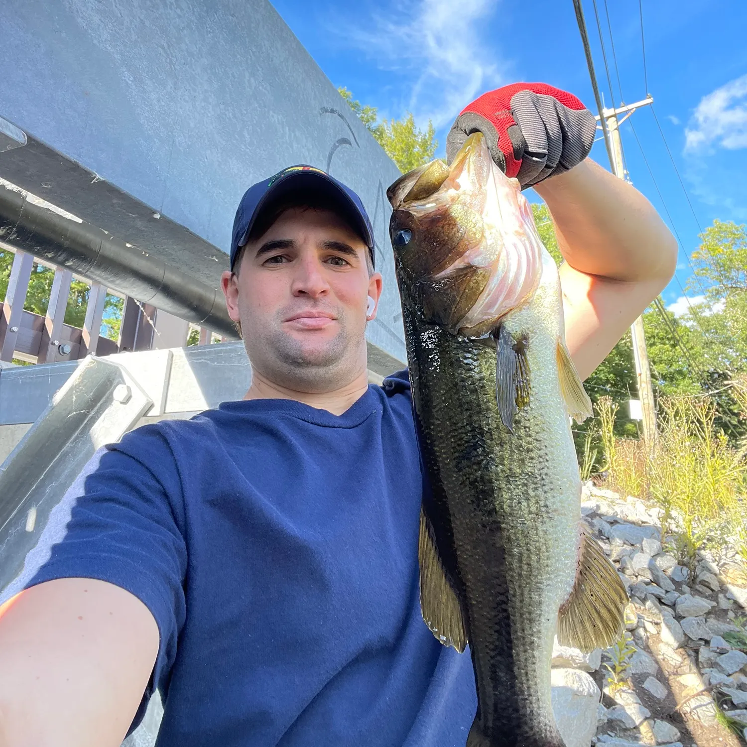 Largemouth bass caught on Fishbrain